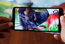 animales silvestres en 3D