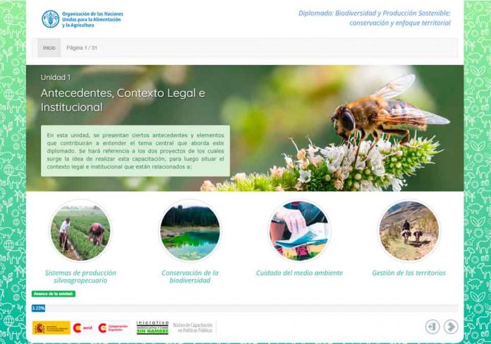 Exitosa convocatoria del segundo diplomado sobre biodiversidad y producción sostenible para funcionarios públicos
