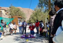 Iniciativa artística en Escuela de Camarones visibiliza el valor patrimonial del picaflor de Arica
