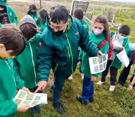 Junto a estudiantes de escuela Villa Las Nieves, SAG Magallanes presentó guía para la conservación de semillas nativas