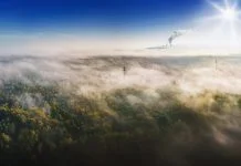 Experto explica relación entre Huella de Carbono, GEI y Calentamiento Global: 7 eficientes recomendaciones
