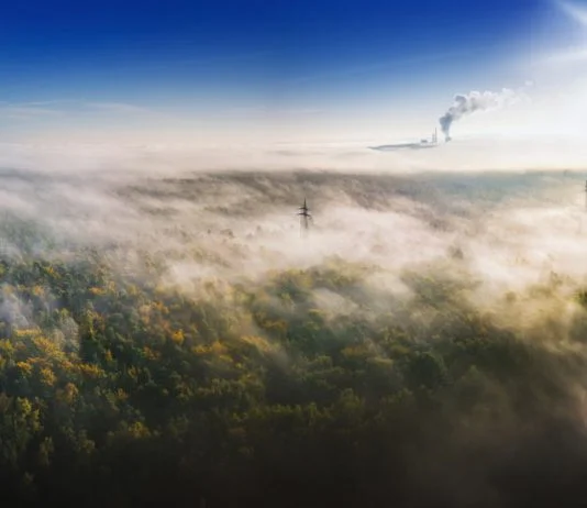 Experto explica relación entre Huella de Carbono, GEI y Calentamiento Global: 7 eficientes recomendaciones