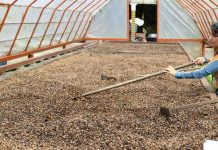 El Tecnológico de Costa Rica, Fundación Plan21 e IBM se unen por el futuro de la agricultura en América Latina