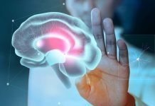 El desarrollo cognitivo de los niños necesita ambientes sanos y enriquecedores El desarrollo cognitivo de los niños necesita ambientes sanos y enriquecedores