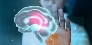 El desarrollo cognitivo de los niños necesita ambientes sanos y enriquecedores