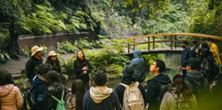 Aprendizaje en la naturaleza Aula Tricao la exitosa iniciativa de Parque Tricao con foco en educación ambiental