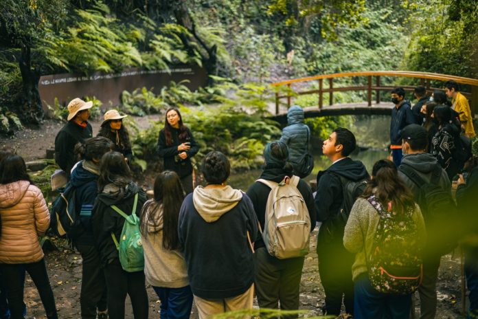 Aprendizaje en la naturaleza Aula Tricao la exitosa iniciativa de Parque Tricao con foco en educación ambiental