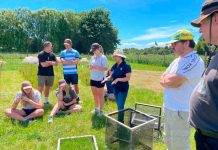 Estudiantes de la Universidad de Massey de Nueva Zelanda y de Agronomía de la UACh visitaron INIA Remehue