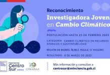Seremi de Ciencia Centro Sur y CRHIAM buscan reconocer a jóvenes investigadoras
