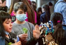 Prevención del acoso escolar, Dislexia en el aula, Neurodidáctica y otros: Fundación Telefónica Movistar ofrece ocho cursos gratuitos y personalizados para profesores y asistentes de la educación