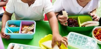 Colaciones saludables para combatir el alto índice de obesidad escolar en Chile