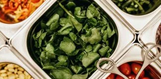 ¿Menú vegano en las universidades? Tendencia en alza en el mundo