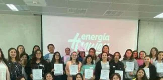 Iniciativa de la Seremi de Energía del Biobío: Profesionales y técnicas se forman en energías renovables 