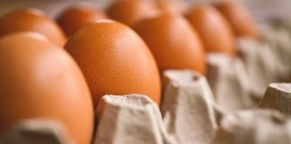 Continúan investigaciones para disminuir el colesterol del huevo a través de su alimentación 
