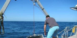 Más de 170 billones de piezas de plástico flotan en los océanos del mundo