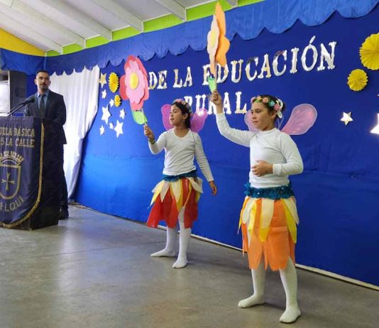 Plan Gabriela Mistral se aplicará en 295 escuelas rurales de la región del Biobío