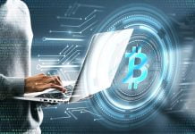 ¿Cómo evitar perder dinero con las criptomonedas?. bitcoin
