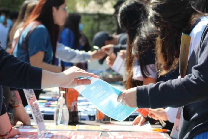 Brechas de género en la educación superior qué estudian hombres y mujeres en 2023