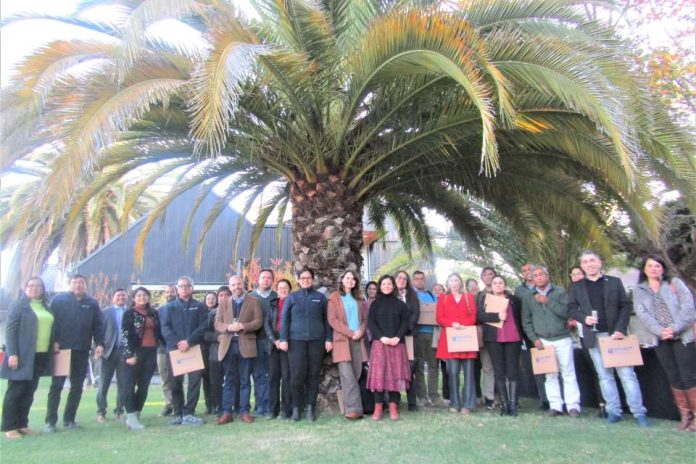 Docencia universitaria UCM instauró núcleo de investigación