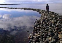 Desafían cinco siglos de hegemonía gregoriana científicos chilenos desarrollan calendarios bioculturales para afrontar la crisis climática