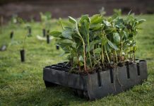 Día Mundial de la Conservación del Suelo