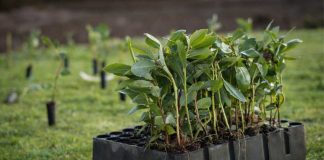 Día Mundial de la Conservación del Suelo