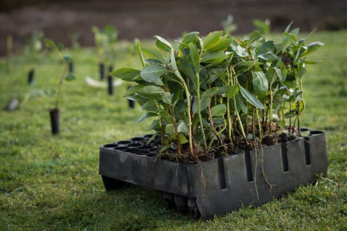 Día Mundial de la Conservación del Suelo Día Mundial de la Conservación del Suelo