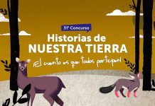 Estudiantes podrán aprender a crear cuentos y poemas con el concurso Historias de Nuestra Tierra e IBBY Chile