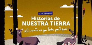 Estudiantes podrán aprender a crear cuentos y poemas con el concurso Historias de Nuestra Tierra e IBBY Chile