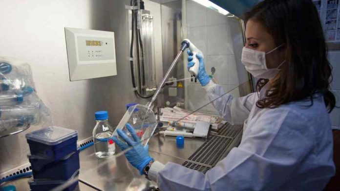 Más mujeres en STEM Universidades ofrecerán cupos adicionales para mujeres en carreras STEM  Más mujeres en STEM: Universidades ofrecerán cupos adicionales para mujeres en carreras STEM