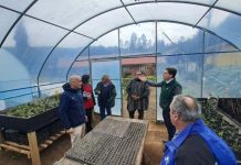 Autoridades del agro visitan colegio Quilacahuin de San Pablo para conocer y replicar modelo educativo 