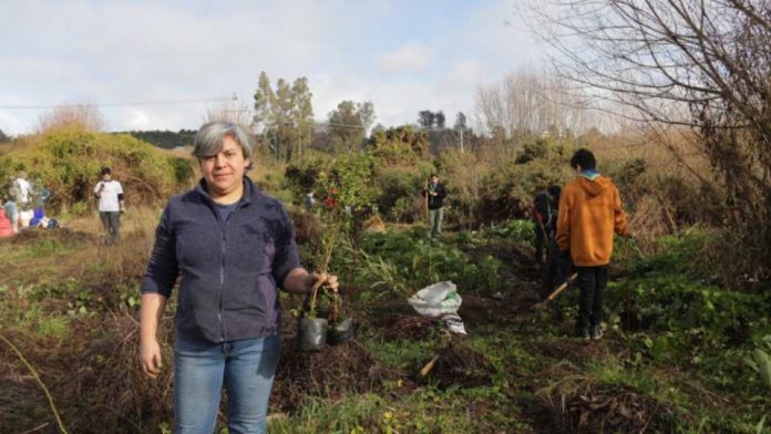 Cecinas Llanquihue dona más de 500 árboles nativos para reforestación de humedales