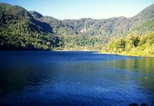 Chile celebra Día Internacional de los Parques Nacionales con avances en conservación en sus áreas protegidas