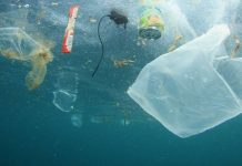 El planeta sufre: más de 170 billones de plásticos en los océanos