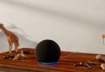 Gtd cierra acuerdo con Amazon para llevar “Alexa”, a los hogares de sus clientes Gtd cierra acuerdo con Amazon para llevar “Alexa”, a los hogares de sus clientes