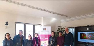 llamas en la combustión