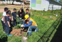 Alto Jardín realiza plan de restauración ecológica en viña del Mar
