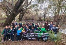 Segundo Concurso Público de la Estrategia Nacional de Cambio Climático y Recursos Vegetacionales: En 40% aumentaron las postulaciones y superficies a manejar