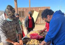 Estudio UCN en Chiloé refleja la alta vulnerabilidad asociada al sector pesquero de machas