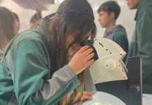 Implementan biofábricas de insectos benéficos en liceos agrícolas para transitar hacia una agricultura sostenible