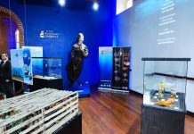 Más de 14 mil personas han visitado exposición de Centro ESMOI UCN en Valparaíso