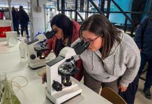 Docentes de acuicultura realizaron gira técnica al Liceo Politécnico de Mehuín