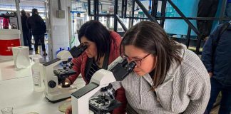 Docentes de acuicultura realizaron gira técnica al Liceo Politécnico de Mehuín