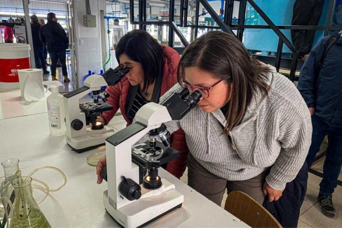 Docentes de acuicultura realizaron gira técnica al Liceo Politécnico de Mehuín Docentes de acuicultura realizaron gira técnica al Liceo Politécnico de Mehuín