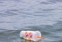 Plásticos de un solo uso: la amenaza global que exige un pacto urgente entre sociedad y empresas