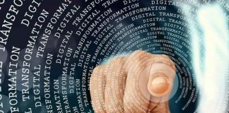 Hacia una madurez digital transversal