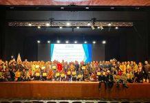 Exitosa  jornada "Red de Maestros de Maestros" en La Araucanía 