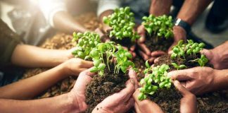 Más y mejor educación ambiental para Chile