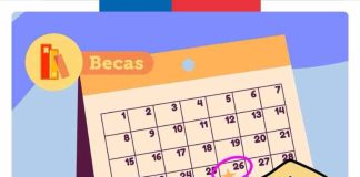 Mañana finaliza plazo para postular y renovar becas junaeb 2024