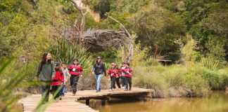 Más de 7 mil estudiantes han disfrutado de la educación ambiental fuera de la sala de clases gracias a Aula Tricao 
